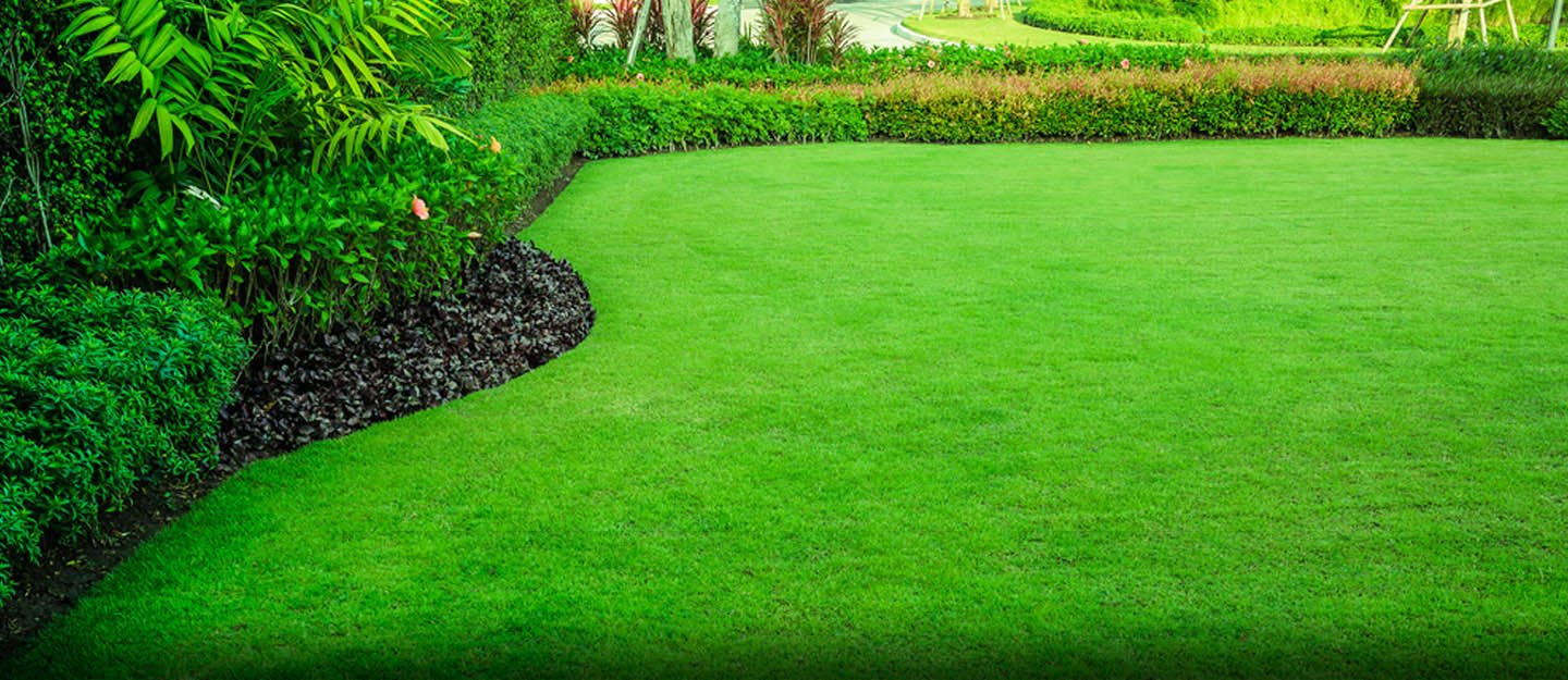 A Lawn That Looks Cared For, Every Week