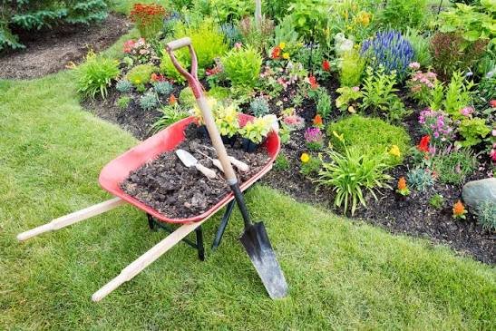 Planting Beds & Gardens